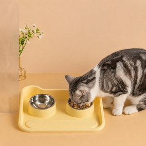 Stainless steel tilted double cat bowl with leak-proof, neck protection design