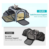 Airline-approved expandable cat carrier with mesh windows and reflective tape