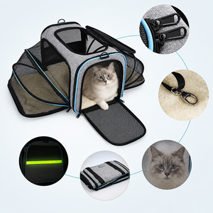 Airline-approved expandable cat carrier with mesh windows and reflective tape