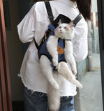 Cat enjoying KittyVerse toys and accessories