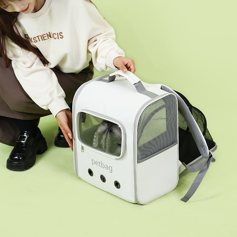 Airline-approved expandable cat carrier with mesh windows and reflective tape