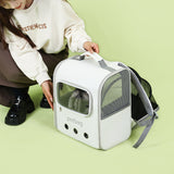 Airline-approved expandable cat carrier with mesh windows and reflective tape