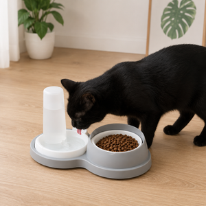 Cat eating from non-slip double bowl with neck protection
