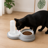 Cat eating from non-slip double bowl with neck protection