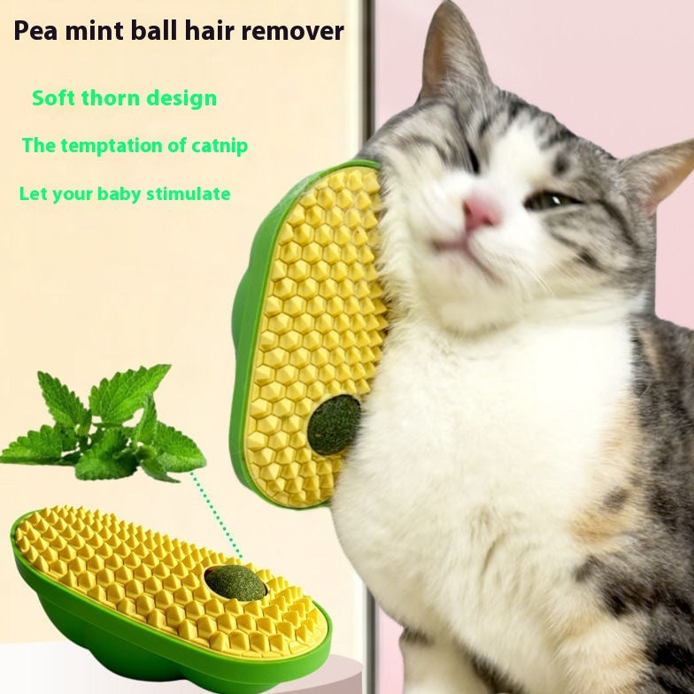 cat-self-service-scratching-toy.jpg
