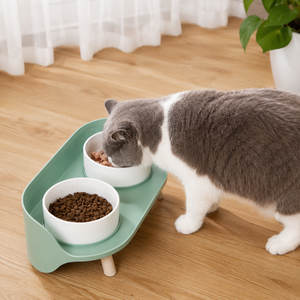 Adjustable tilted double cat bowl for food and water, spill-proof design